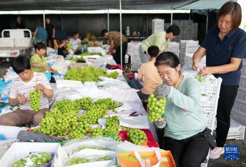 消失的太阳游戏
